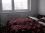Prenajmem 2-izbový byt, 50 m2, Bratislava, 620 €