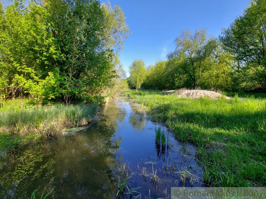 Predám záhradu, pozemok 1604 m2, Nová Vieska, 19900 € Ringo.sk