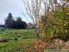 Predám stavebný pozemok, pozemok 1155 m2, Rúbaň, 22000 €